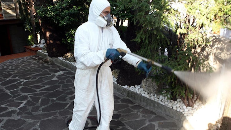 Virus West Nile, teniamo alta l’attenzione - Il Resto del Carlino