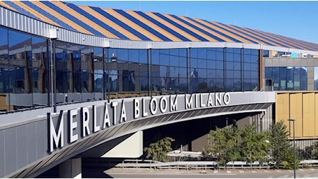 Al Merlata Bloom dipendenti strattonati e cassaforte svuotata nella gioielleria