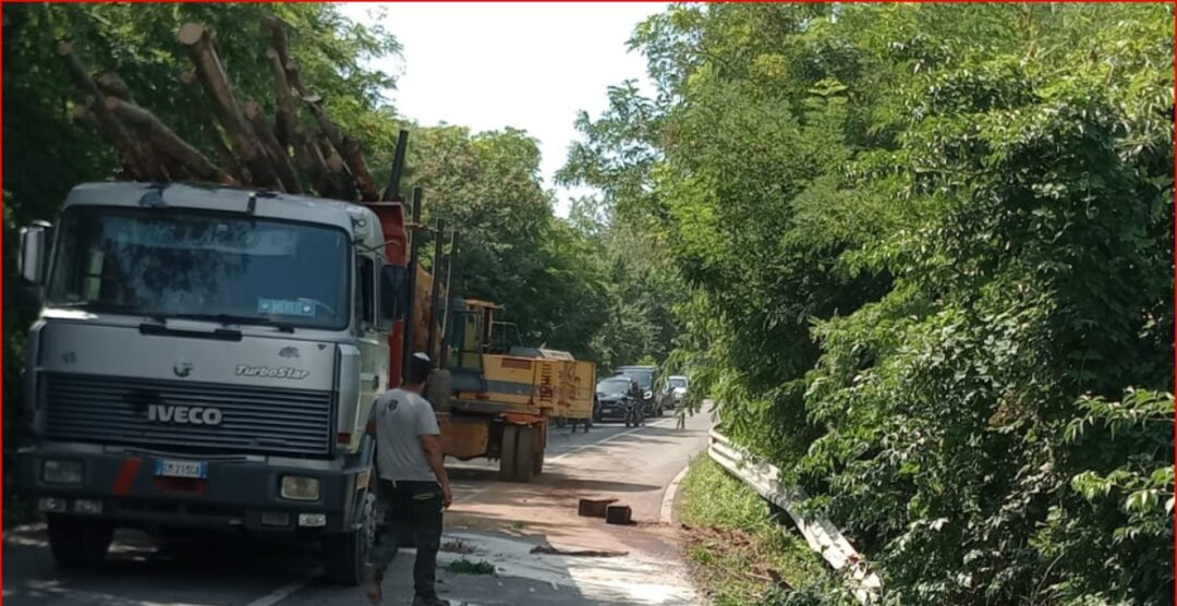 Camion di tronchi fuori strada sulla Tuscolana verso Le Macere