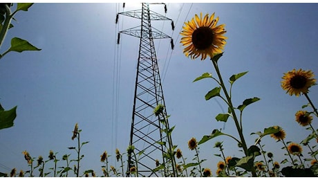 Blackout e caldo, da Arera rimborsi in bolletta fino a 300 euro. A Torino scatta l'ordinanza: porte chiuse con condizionatore acceso