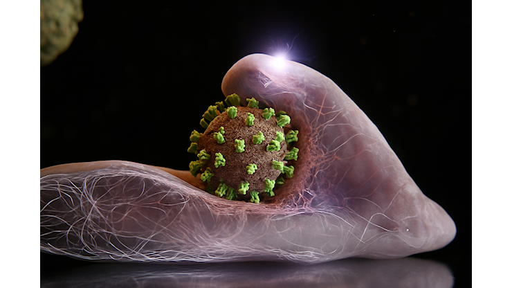 Influenza: scoperto come il virus entra nelle cellule umane - tomshw.it