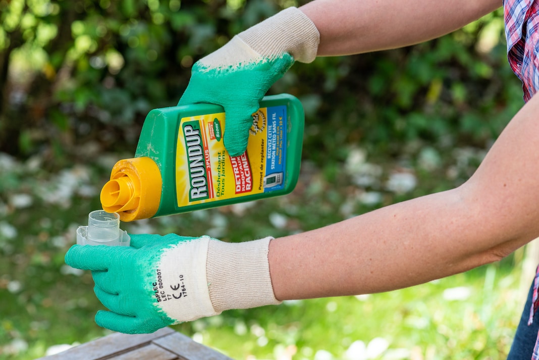 Glifosato, la Corte suprema Usa blocca le cause contro Bayer: «Nessun obbligo di avvisare sul rischio cancro»