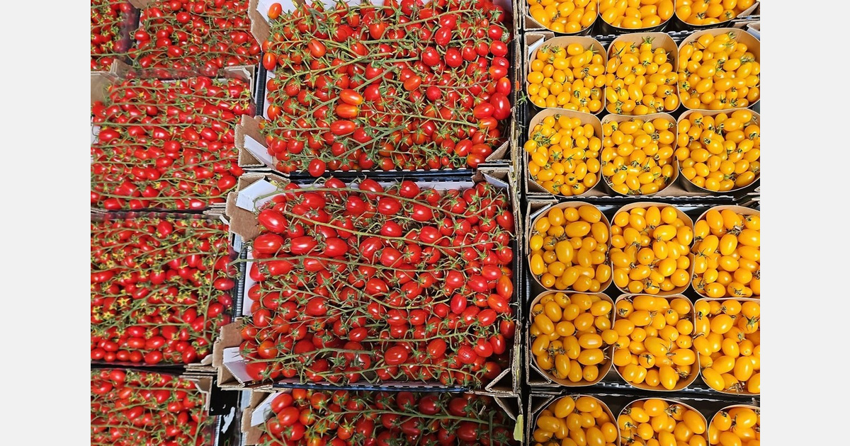 Caldo record e partenze anticipate, la Borsa della Spesa fotografa un'estate di prezzi stabili per ortofrutta