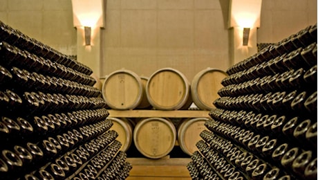 Furto alla Marchesi Antinori: rubate 30.000 bottiglie tra Solaia, Tignanello e Guado al Tasso