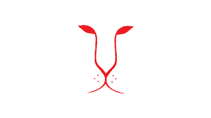 Cisgiordania, protesta contro la creazione di un avamposto israeliano - ildenaro.it