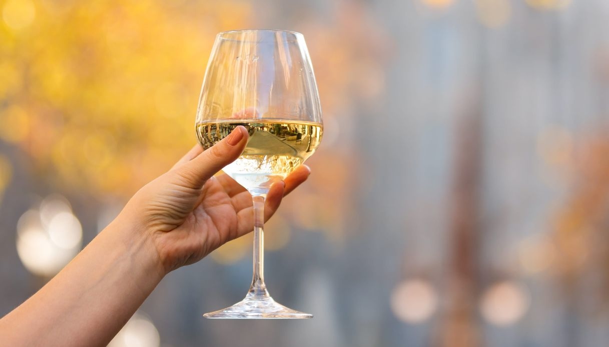 Vino, giacenze in cantina a quota 46,5 milioni di ettolitri: Veneto in testa con 11,5 milioni