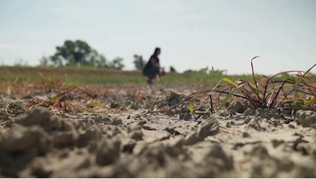 Secca del Po: idrovore a Isola Pescaroli e allarme acqua