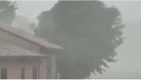 Maltempo, il video del nubifragio che ha colpito l'Emilia-Romagna con raffiche di vento fino a 120 km/h
