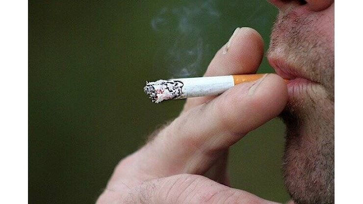 Giornata senza tabacco, Raffaella Giavazzi: “Perché fumare nuoce alla salute” - Bergamonews
