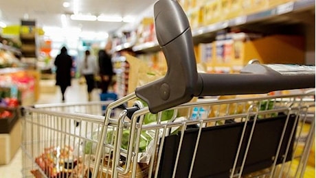 Olio italiano, scattano i controlli a Bari contro le frodi