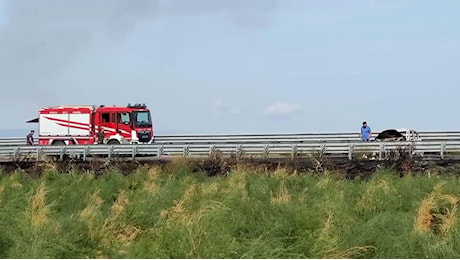 Foggia, assalto al portavalori sulla A14: spari, chiodi sull'asfalto e sette auto in fiamme