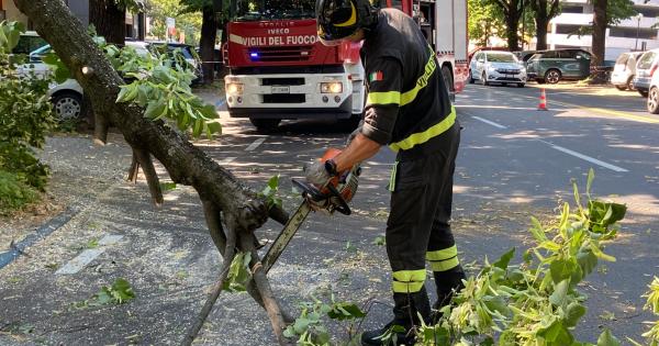 Parma in prima linea per il maltempo: 112 richieste coordinate tra alberi e tettoie rimosse