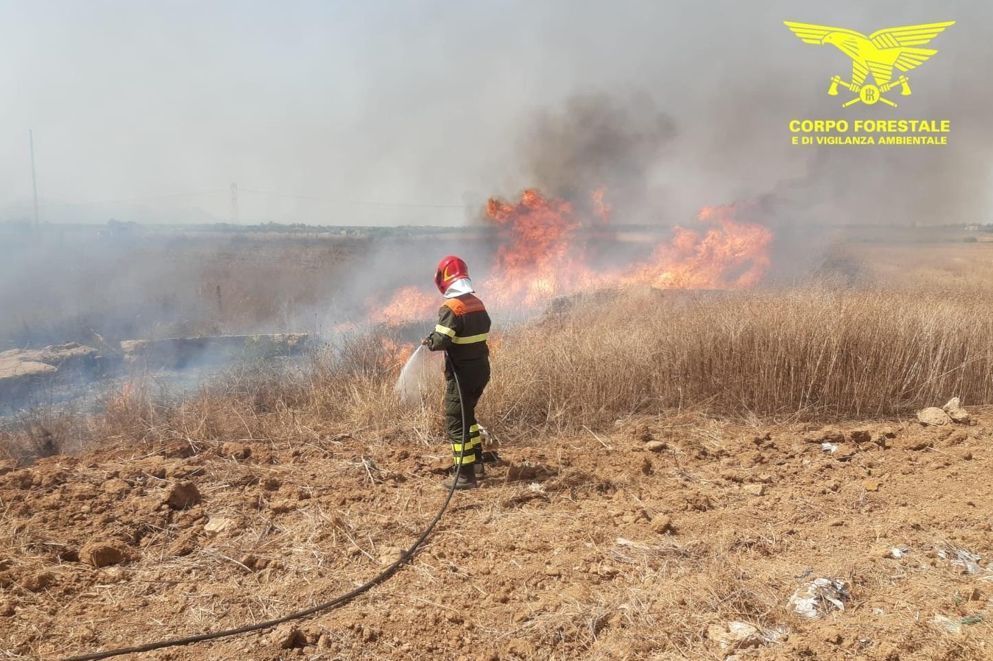 Incendi nel Sud Sardegna, in fiamme le campagne di Villamar: in azione un elicottero del Corpo Forestale