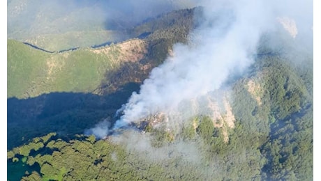 Incendio nel Mugello, in fiamme i boschi di Vicchio: oltre quindici ettari distrutti