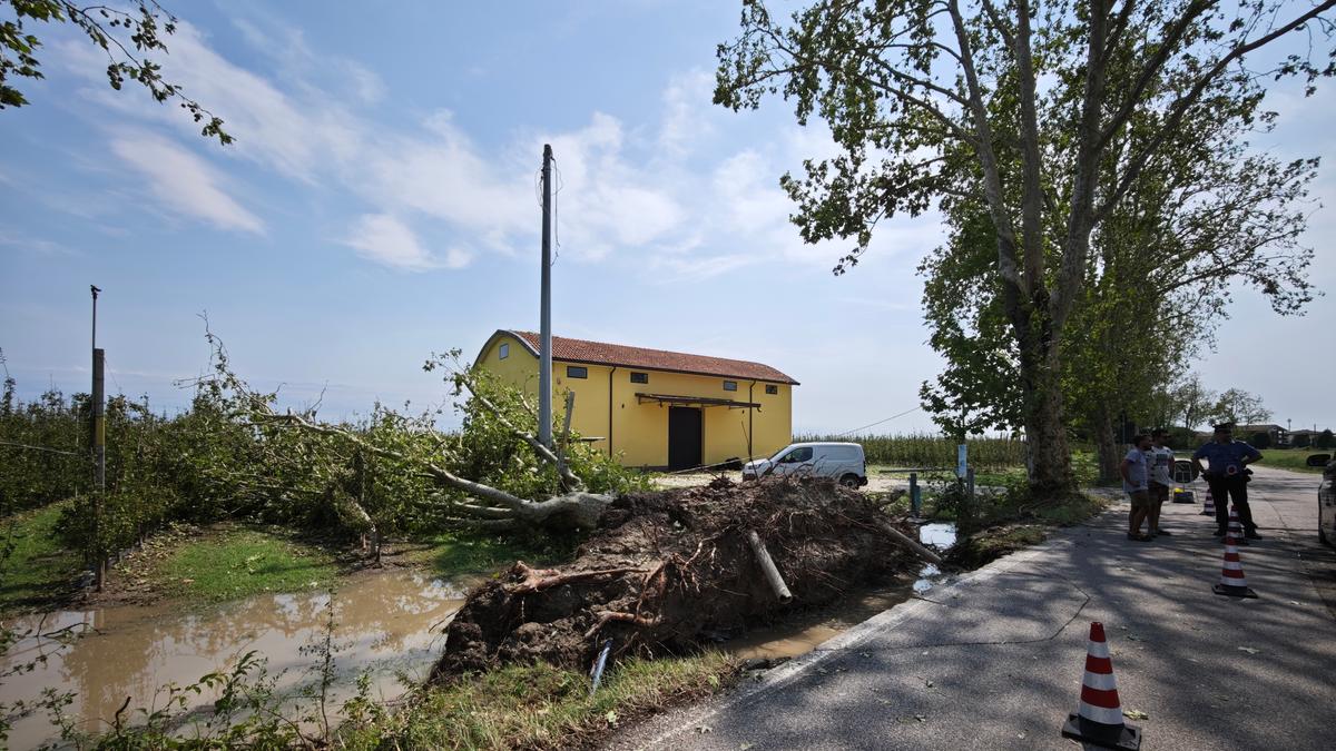 Maltempo, summit dal prefetto: “Le devastazioni sono ingenti”. Chiesto lo stato di crisi regionale
